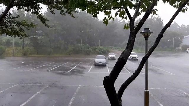 Typhoon Hinnamonor with a speed of 600 km/h is rushing through South Korea! It's hard to believe! смотреть онлайн