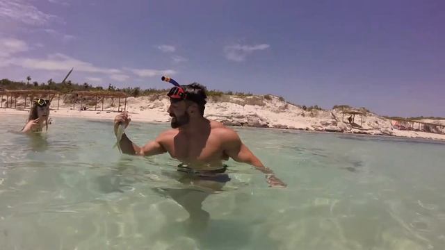 Last Day Valentin Perla Blanca смотреть онлайн