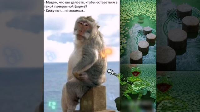 КРАСОТА - ЭТО СТРАШНАЯ СИЛА... смотреть онлайн