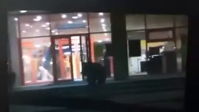 Медведь в магазине, ЖЕСТЬ смотреть онлайн