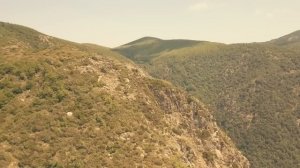 Лекарство от рака -3. Откровение