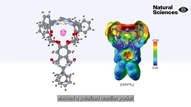 Host-guest tuning of the CO2 reduction activity of an iron porphyrin cage смотреть онлайн
