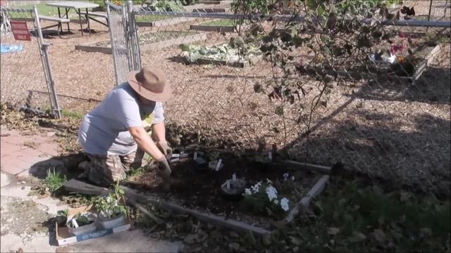 Planting Natives at the Community Garden - Cathy's Eclectic Garden смотреть онлайн