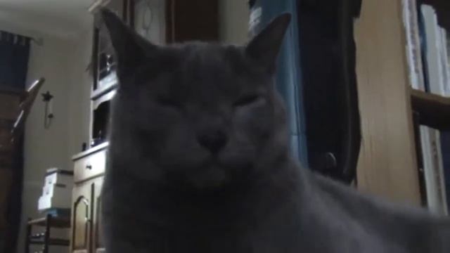 RAW FOOTAGE FROM NOAH MAXWELLS CAMERA смотреть онлайн