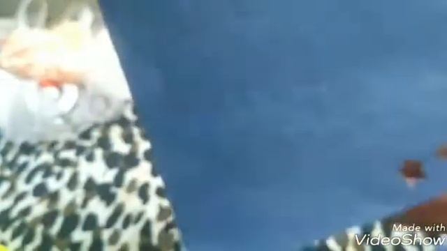 Мои пришедшие дироколи,це щось нереально класне😘😘😘