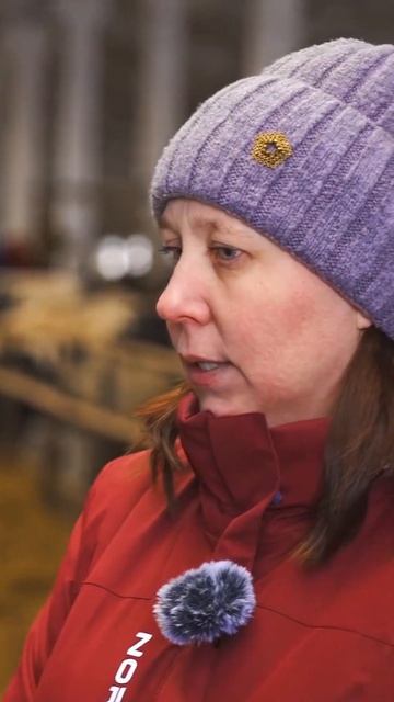 Племзавод «Октябрьский». Кормление #животноводство #сельхозтехника #коровы смотреть онлайн