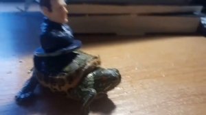 Черепашка по имени Наташка - клип.