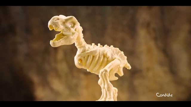 Robo Alive Dino Fossil Find | Candide Brinquedos смотреть онлайн