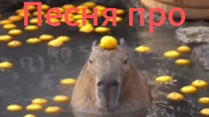 Клип про капибару.