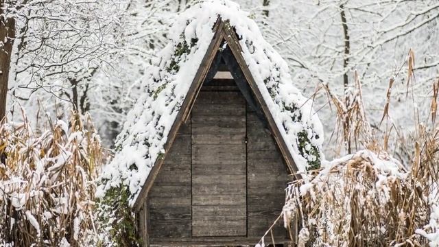 Фридрих Ницше — 35 Крик о помощи смотреть онлайн