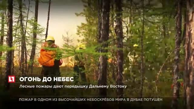 Лесные пожары дают передышку Дальнему Восток смотреть онлайн