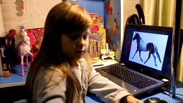 Проект: как научиться понимать лошадь смотреть онлайн