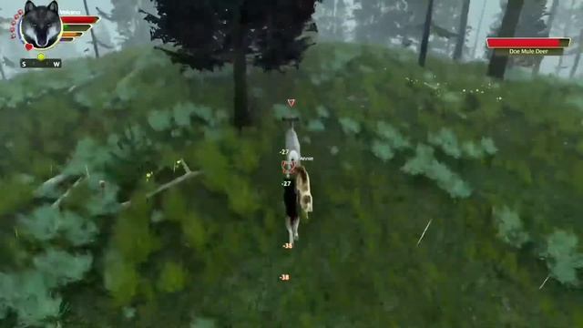 Прохождение WolfQuest: AE. Часть 8. #ДЕПРЕССУХА смотреть онлайн