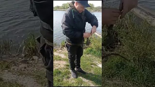 спасли окуня от ужа смотреть онлайн