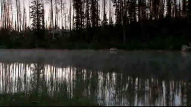 Nice Giant Beaver: Castoroides смотреть онлайн