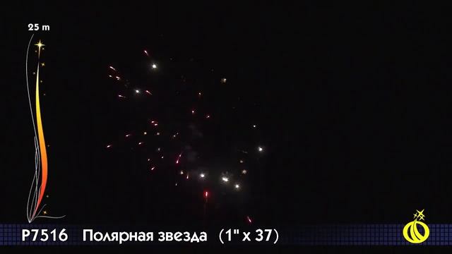 Р7516 Полярная звезда PiroZon.ru смотреть онлайн