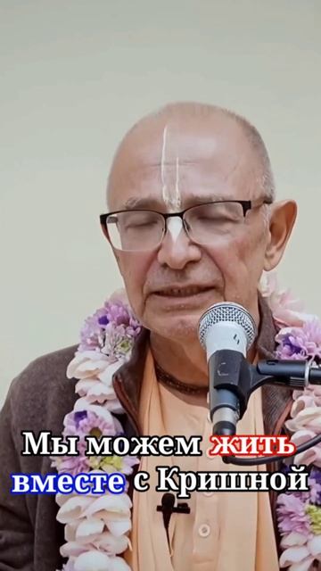 Мы можем жить вместе с Кришной - Бхакти Вигьяна Госвами смотреть онлайн