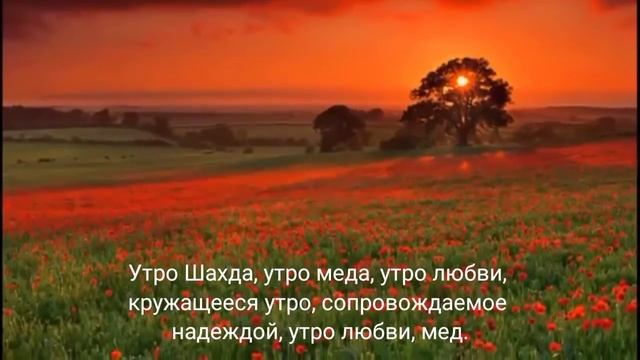 О аромат тоски ... О свидетель и вкус ... О свет солнца ... О голос шепота ... Доброе утро.