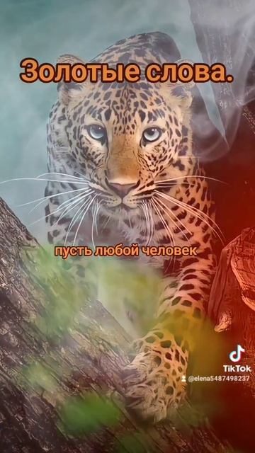 Психология отношений.Размышления. Мудрость. Золотые слова. Подписываемс смотреть онлайн