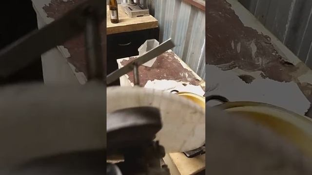 covid 19 domaci srotovnik смотреть онлайн