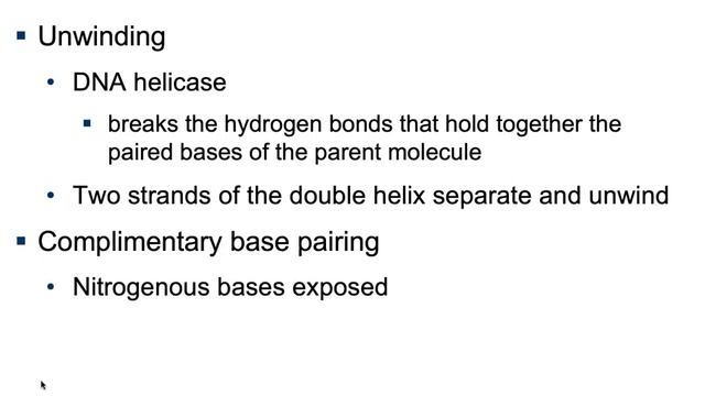 21.2. Replication Of DNA