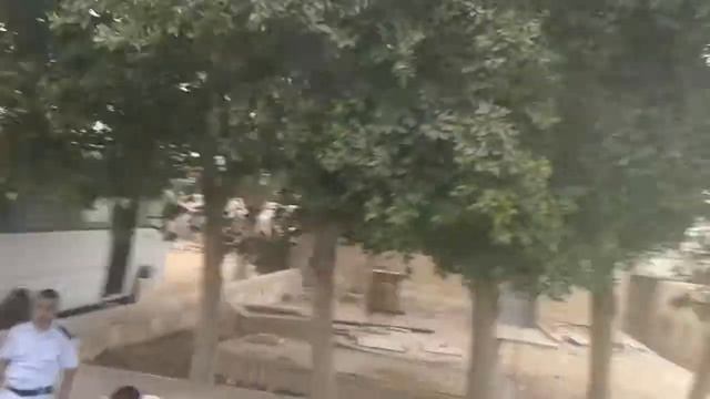 Я поехал в египет на пирамиду смотреть онлайн