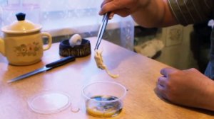 ТОП5 УДАЧНЫХ ЭКСПЕРИМЕНТОВ ГОМУНКУЛА #1