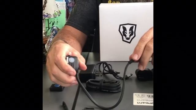 Lupine Pico 4 R SC смотреть онлайн