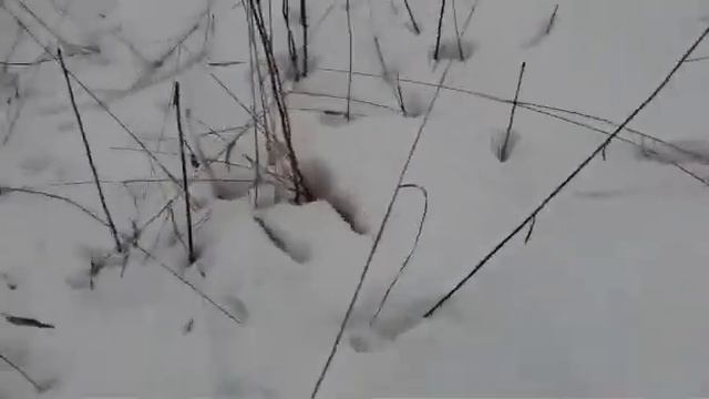 Проверка на прочность смотреть онлайн