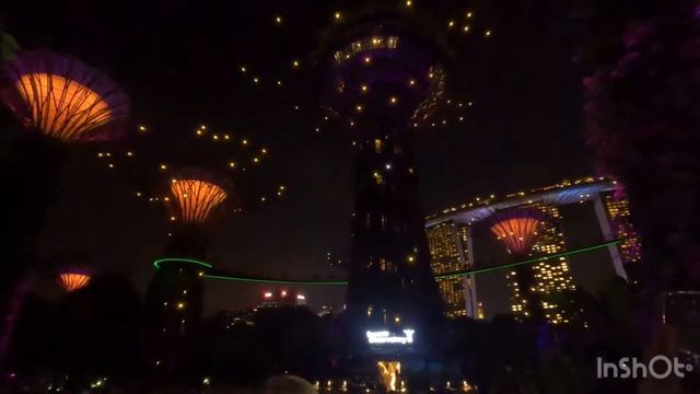 Singapore Garden Rhapsody Light Show 🇸🇬#gardensbythebay #GardenRhapsody #sgtravel #EmzRamirezVlogs