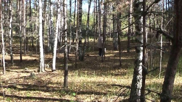 дед, ты далеко не убегай! смотреть онлайн