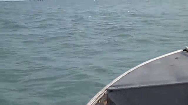 Pelican Bar , Jamaica #1 смотреть онлайн