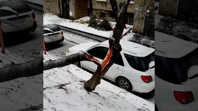 19.11.2020г город Владивосток во льду смотреть онлайн