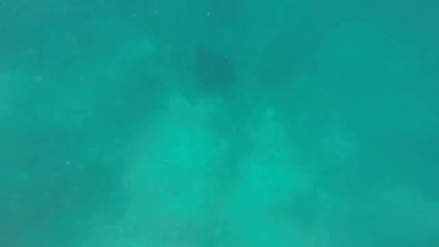 ASIKNYA MAIN AIR DI MANTA POINT LANJUT PEMILIHAN RATU PANTAI PINK BEACH #WIPBAJO2018 смотреть онлайн