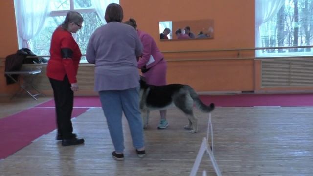 Дарвин Формула Любви