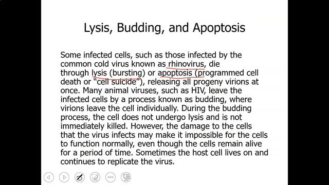 112Viruses(3) смотреть онлайн