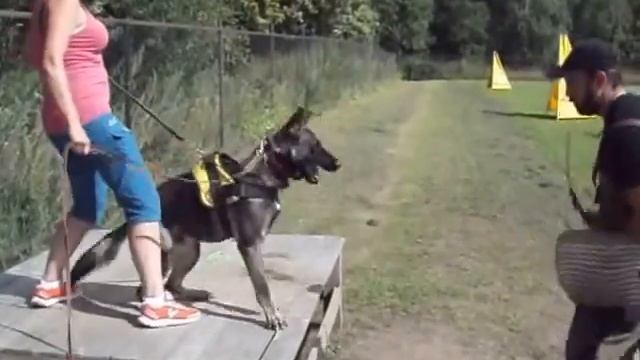 Apollo del Camino Duro & Dmitry Zaytsev смотреть онлайн