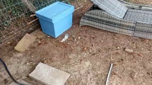 Электропастух для овец. Краткий обзор.