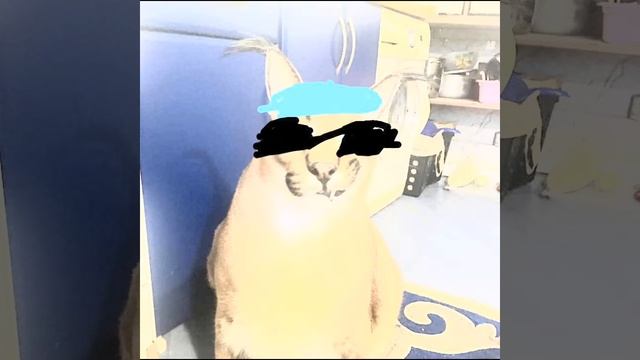 КРУТЫЕ ЛИЦА ШЛЁПЫ 8 ФАЗ