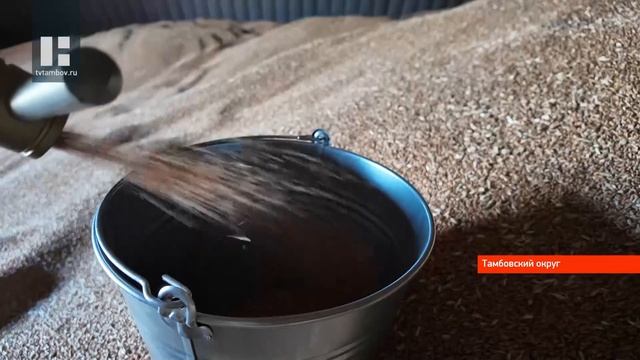 В Тамбовской области в рамках мониторинга качества зерна исследуют 1,7 млн тонн пшеницы смотреть онлайн