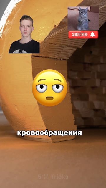ПРИЗНАКИ ЧТО КОШКИ СКОРО НЕ СТАНЕТ #шортс #кошки смотреть онлайн