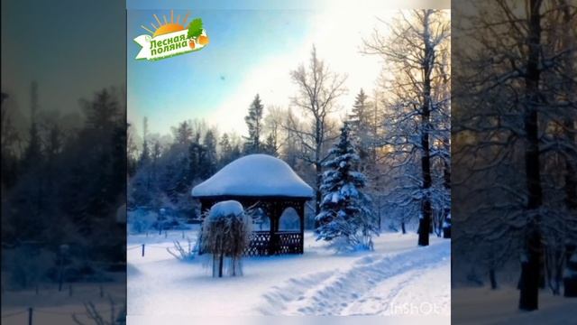 Зима в Лесной поляне видео релакс