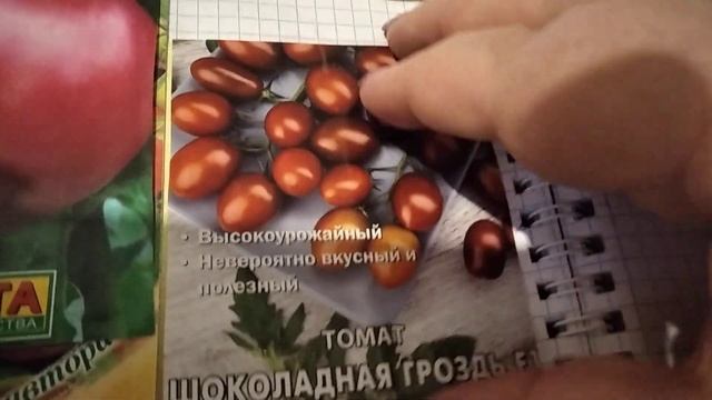 обзор семян томатов на 2024 год смотреть онлайн