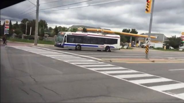 Brampton Transit 4 Chinguacousy - Mount Pleasant GO To Brampton Gateway Terminal - Full смотреть онлайн