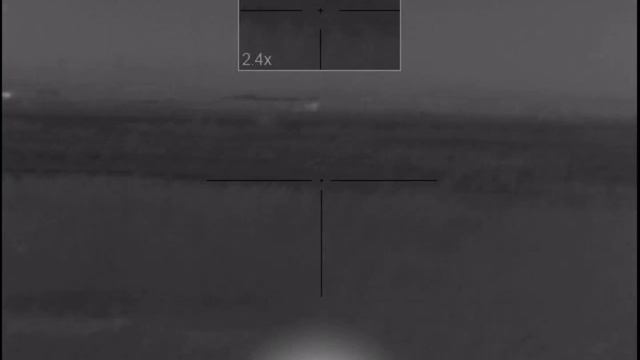 Destroying some hogs with pulsar trail xp38 thermal смотреть онлайн