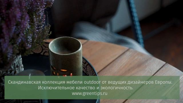 Водные растения для пруда и растения водоемов смотреть онлайн