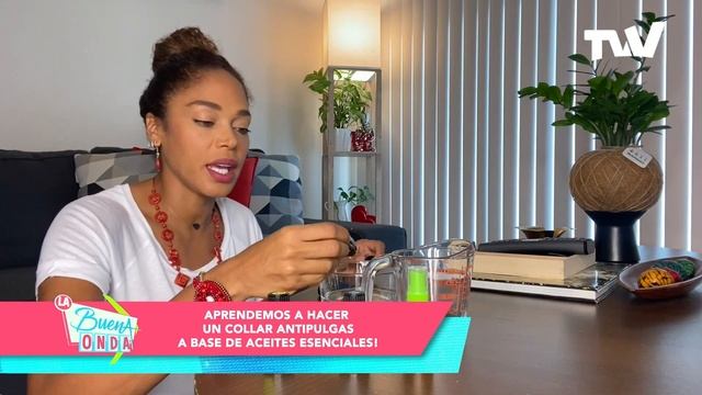 Collar antipulgas para tu mascota con aceites esenciales | La Buena Onda de TVV смотреть онлайн