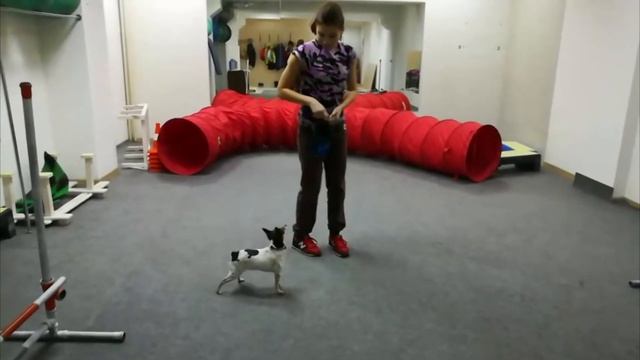 Блошка Нюша смотреть онлайн