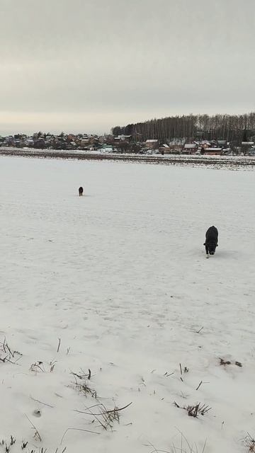 Свисток - это удобно 😜 смотреть онлайн