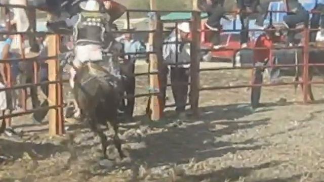 El Tirso de Hacienda Vieja смотреть онлайн